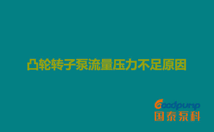 凸輪轉(zhuǎn)子泵流量壓力不足原因